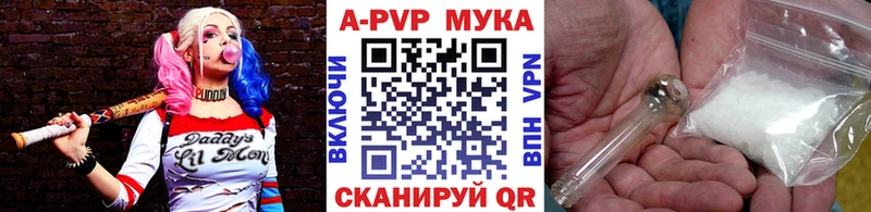 как найти наркотики  Кондопога  блэк спрут рабочий сайт  A-PVP Соль 