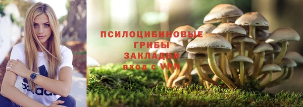 мефедрон мука Богородицк