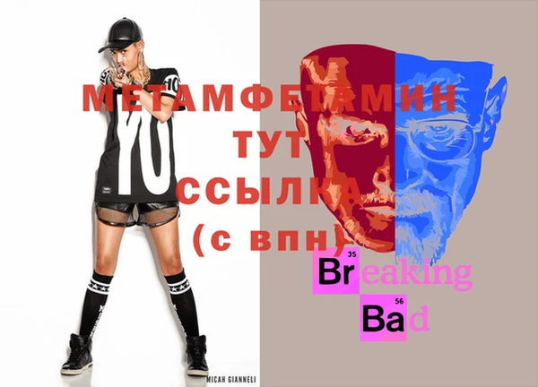 индика Богданович