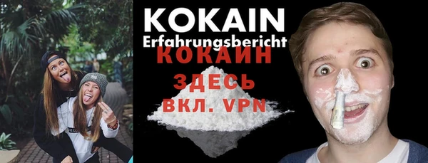 индика Богданович