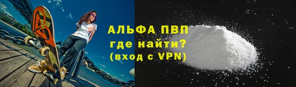 индика Богданович