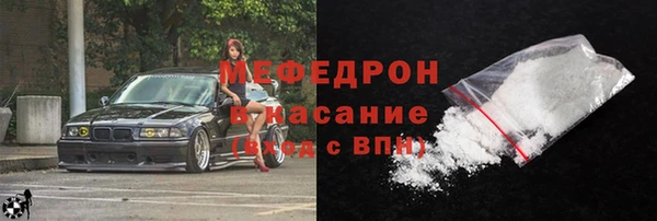 индика Богданович