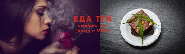 индика Богданович