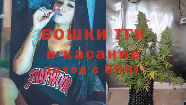 индика Богданович