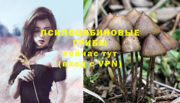 синтетический гашиш Богородск