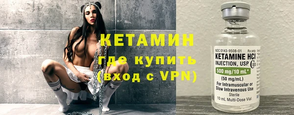 индика Богданович