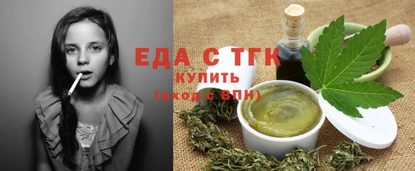 индика Богданович